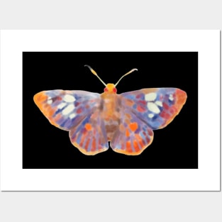 Tropical orange moth Posters and Art